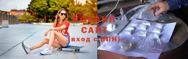 гидра Аркадак