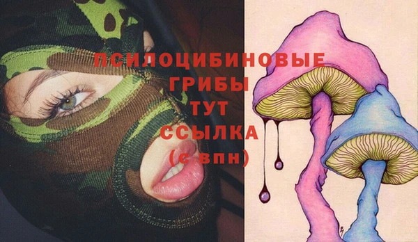 гидра Аркадак