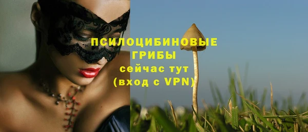 mdpv Армянск