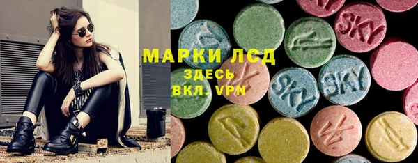 гидра Аркадак