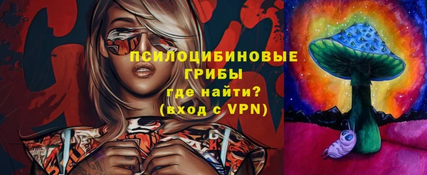 гидра Аркадак