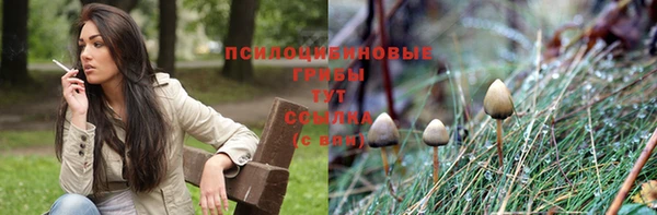не бодяженный Арсеньев